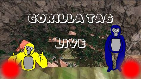 Gorilla Tag Live Stream With Viewers Youtube