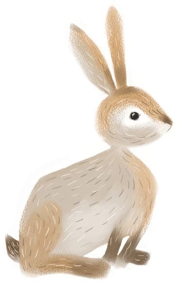 115 Brown Rabbit Side View Isolated Royalty-Free Images, Stock Photos & Pictures | Shutterstock