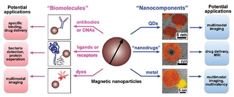 Magnetic Nanoparticle for Biomedicine Applications