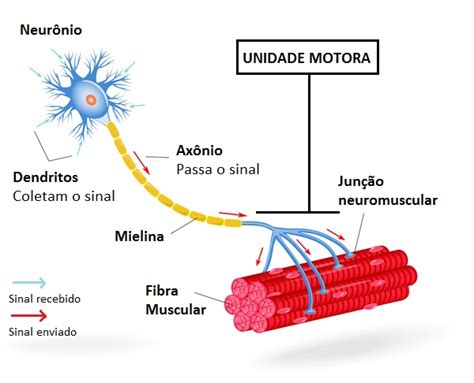 Como Explicar Nossos Momentos De Super For A Saber Atualizado