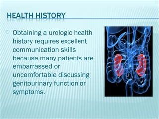 Assessment Of Renal And Urinary Tract Function Ppt