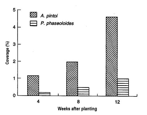 Soil Management For The Establishment Of The Forage Legume Arachis