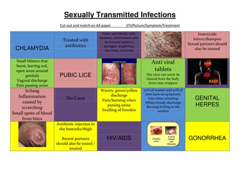 Sexually Transmitted Infections Sti Starter Activity Worksheet Matching Exercise Teaching