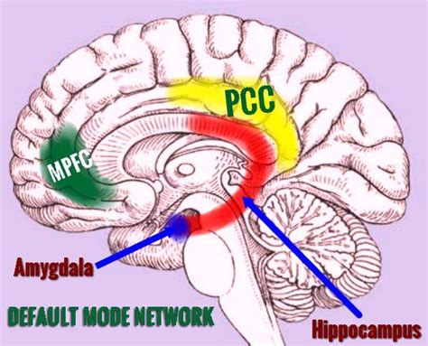 Default Mode Network Meditation