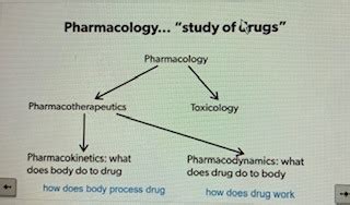 Pharm Wk Pharmacological Principles Pharmacodynamics Flashcards