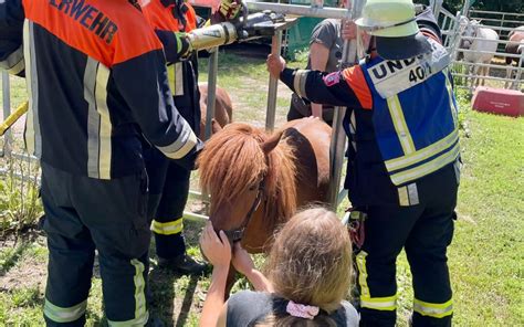 Tierrettung Freiwillige Feuerwehr Undorf E V