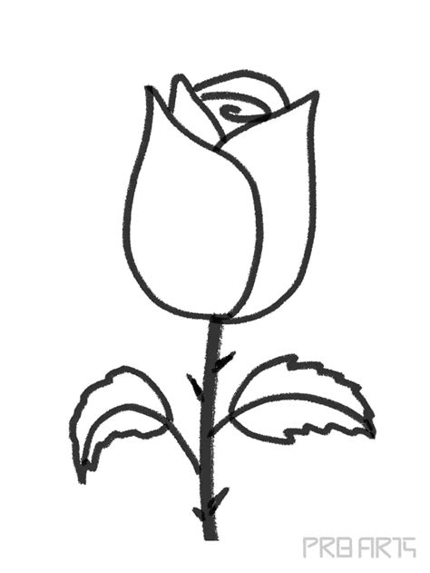 Drawing Of A Rose Easy Prb Arts