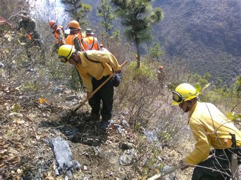 Emisoras Unidas Cuatro Incendios Forestales Se Encuentran Activos En