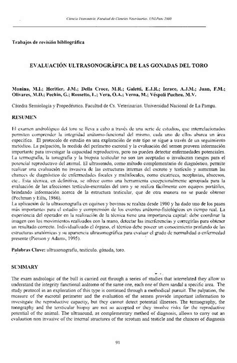 Pdf Evaluaci N Ultrasonogr Fica De Las De Biopsia Hacia El Foco