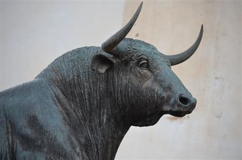 Close-up of a Bull Statue · Free Stock Photo