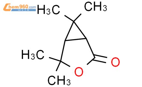 139885 83 9 3 Oxabicyclo 3 1 0 hexan 2 one 4 4 6 6 tetramethyl CAS号