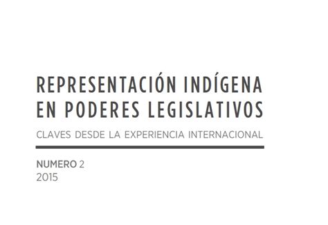 Informe Pnud Representación Indígena En Poderes Legislativos Claves Desde La Experiencia