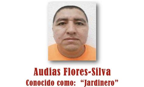 Cjng ¿quién Es “el Jardinero” Por El Que Eu Ofrece Una Recompensa De