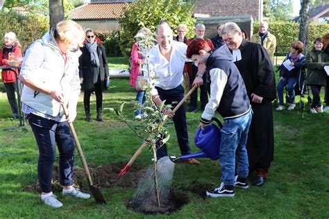 Ev Kirchengemeinde Aachen Pr Ses Latzel Pflanzt Baum Der Hoffnung