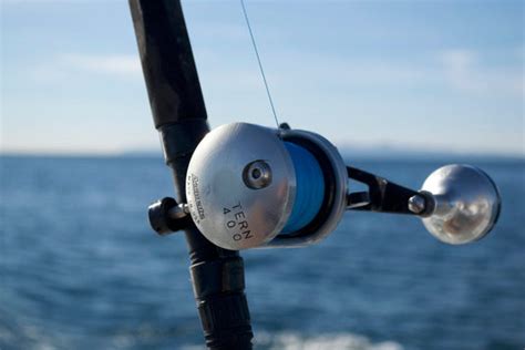 Best Saltwater Fishing Reels, Rods & Gear | Accurate Fishing