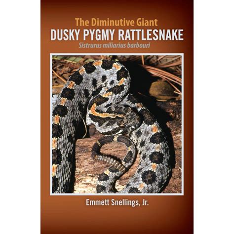 The Diminutive Giant - Dusky Pygmy Rattlesnake Sistrurus miliarius barbouri