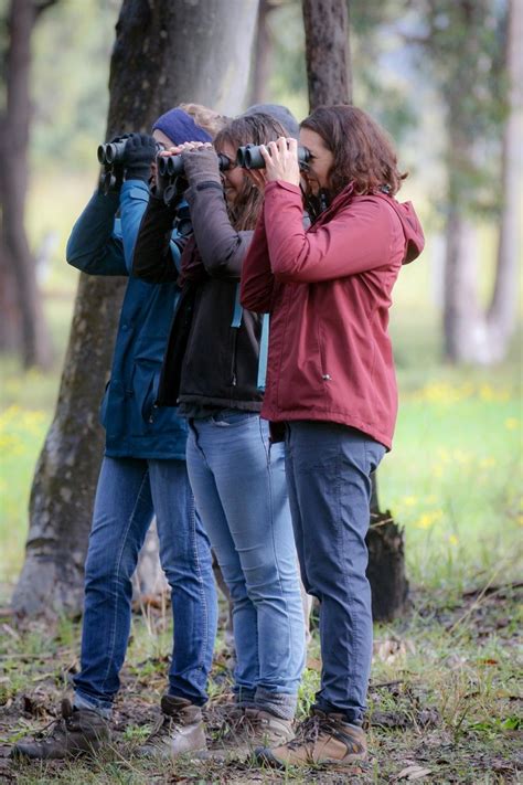 Citizen Scientists Invited To Join Great Aussie Bird Count Torch