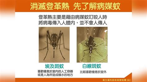 登革熱升溫上週增逾百例！台南92例 雲林古坑爆群聚｜四季線上4gtv