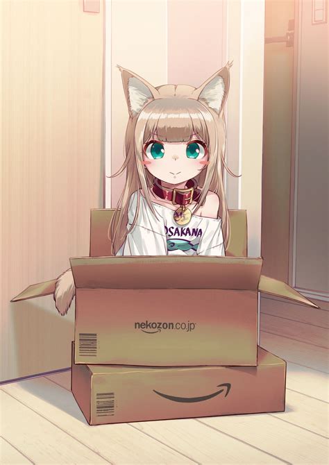 If She Fits She Sits Cat Girl Know Your Meme