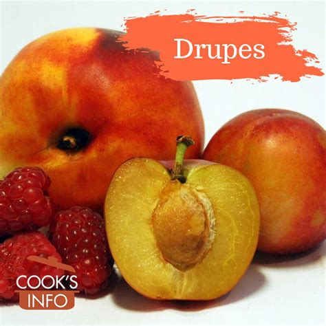 Drupes - CooksInfo