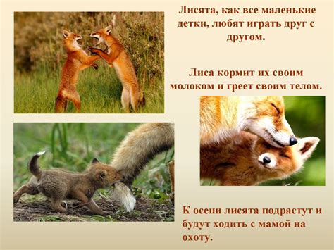 Дикое животное лиса - презентация онлайн