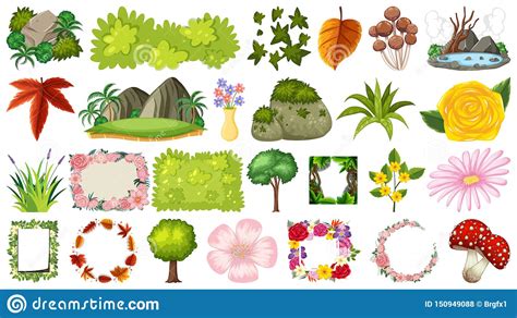 Placez Des Plantes Ornementales Illustration De Vecteur Illustration