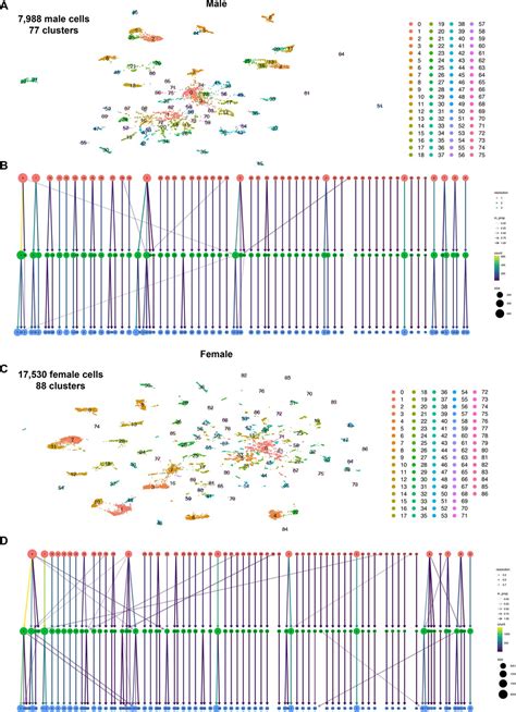 Figures And Data In Single Cell Transcriptome Profiles Of Drosophila