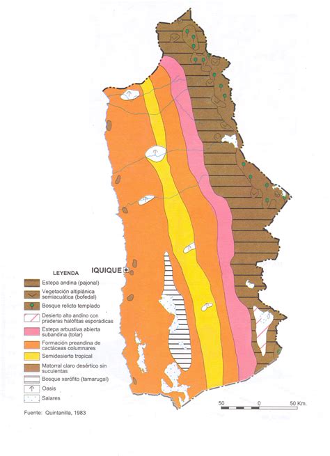 Región de Tarapacá Wikipedia la enciclopedia libre