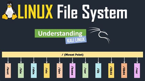 Linux File System Kali Linux Linux For Beginners YouTube