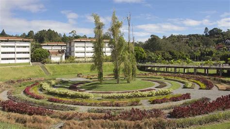 InSitu Art Projects Laberinto Cromovegetal Universidad Simón Bolívar