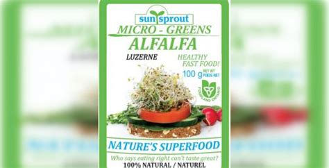 Alfalfa Sprouts Recalled Due To Possible Salmonella Contamination Dished