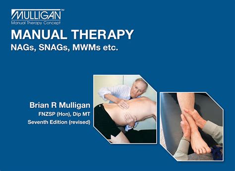 Manual Therapy NAGs, SNAGs, MWMs, etc. (853-7) - FLYING KIWI