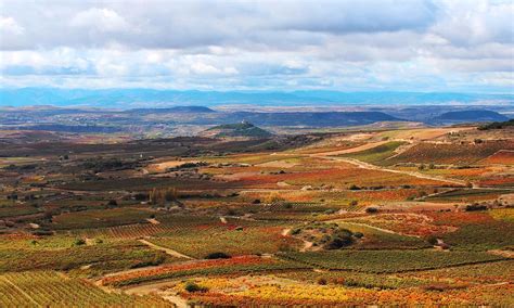 Acevin Y Rutas Del Vino De Espa A Celebran Un A O M S El D A Mundial