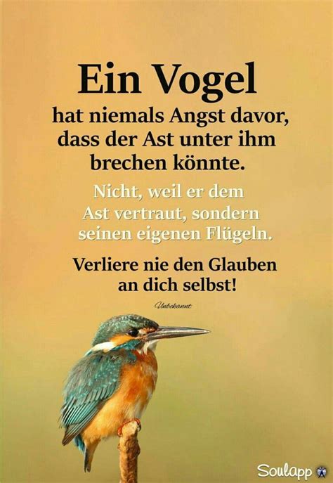 Ein Vogel Tiefsinnige sprüche Soulapp sprüche Sprüche zitate