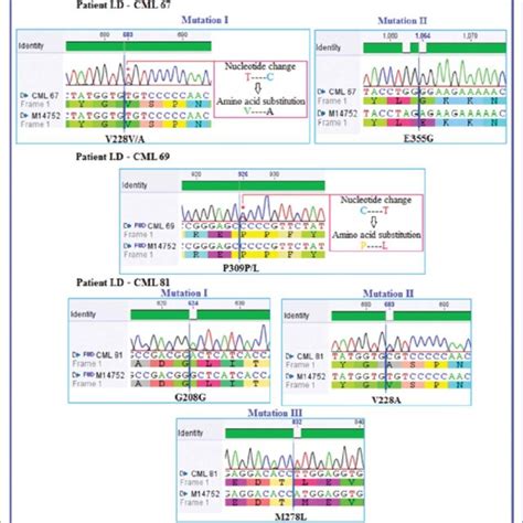 Clinical Response And Mutation Data Of Imatinib Sensitive Mutatnt Download Scientific Diagram