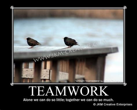 Funny Teamwork Quotes Inspirational Quotes. QuotesGram