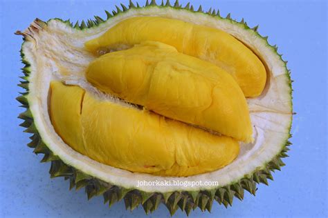 Tips On How To Spot A Mao Shan Wang Msw Musang King Durian Johor