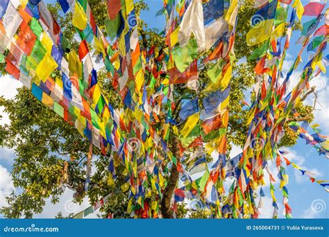 Nepali Colorful Prayer Flags Stock Image - Image of holy, buddha: 265004731