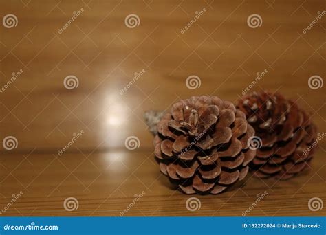 Two Pinecones On Wooden Bench Copy Space Stock Photo Image Of Cones