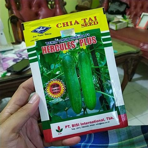 Jual Benih Timun Hercules Plus Isi Gram Shopee Indonesia