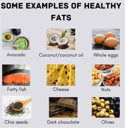 What are some Examples of Fats and Their Types? - Ox Science