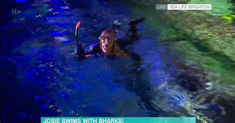 This Mornings Josie Gibsons Live Swim With Sharks Cut Short Due To