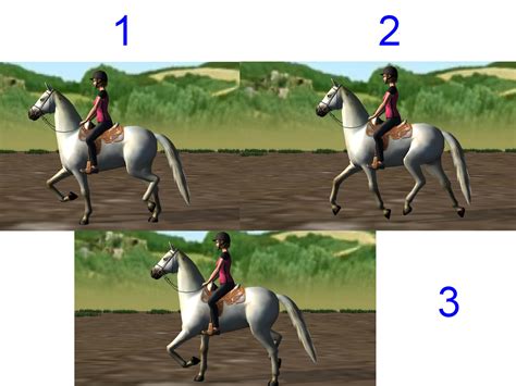 How to Ride a Horse at Walk, Trot, and Canter: 3 Steps