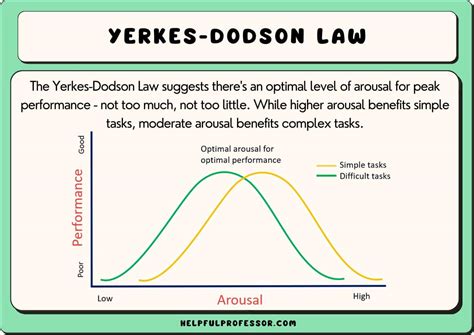 yerkes dodson law examples