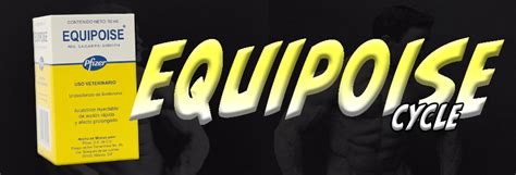 equipoise boldenone cycles beginner  advanced guide