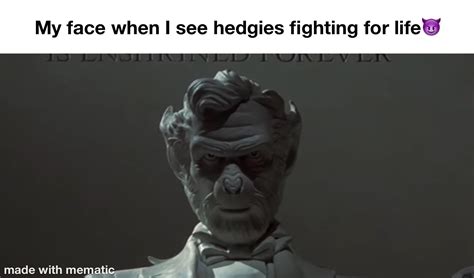 Attitude Rn Because Fuck Em Thats Why R Superstonk