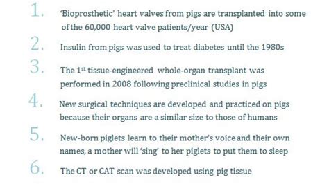 Pig ten facts :: Understanding Animal Research