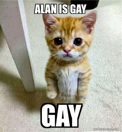 Alan Is Gay Gay Cute Cat Standing Meme Generator