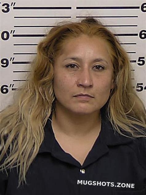 De Los Santos Alicia M 05 02 2023 Eddy County Mugshots Zone