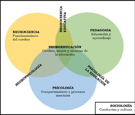 Neurociencia Y Psicolog A Positiva Un Enfoque Relacional Integrado